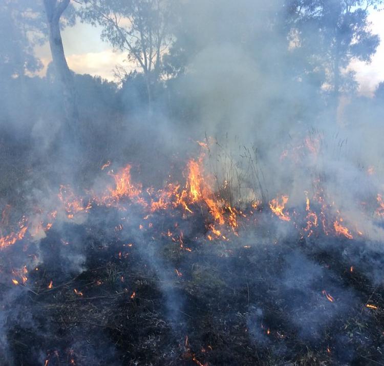 Spring 2015 prescribed burn. Photo: ACT Parks & Conservation Service