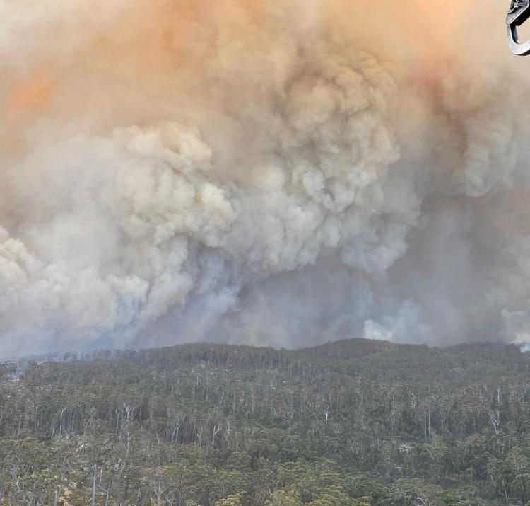 The Big Jack Mountain fire in NSW, February 2020. Photo: NSW Rural Fire Service.