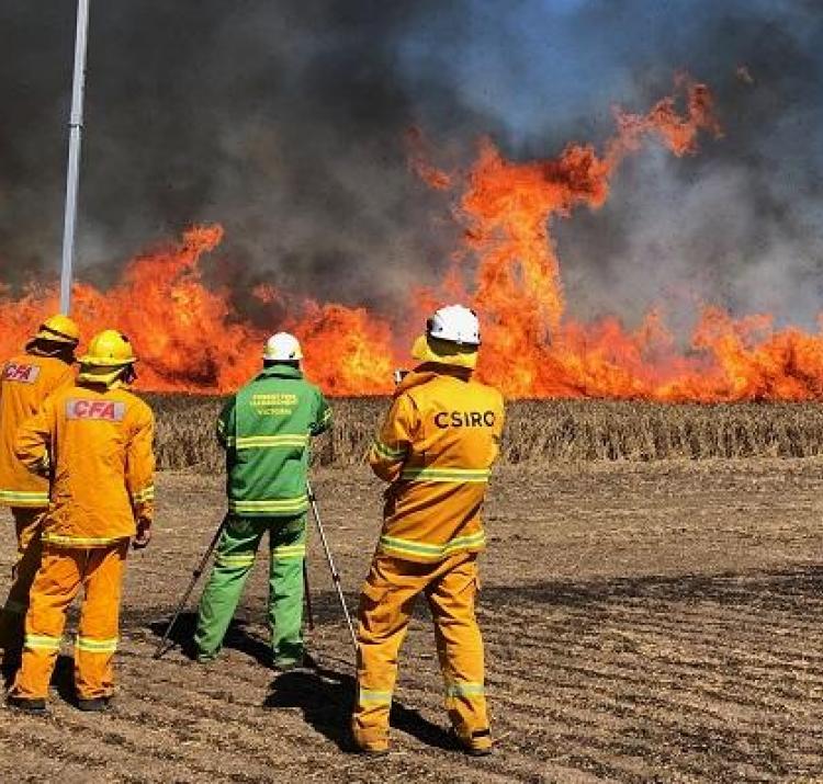 CFA and CSIRO burning croplands as part of a research project to look at how fire behaves. Photo: CFA
