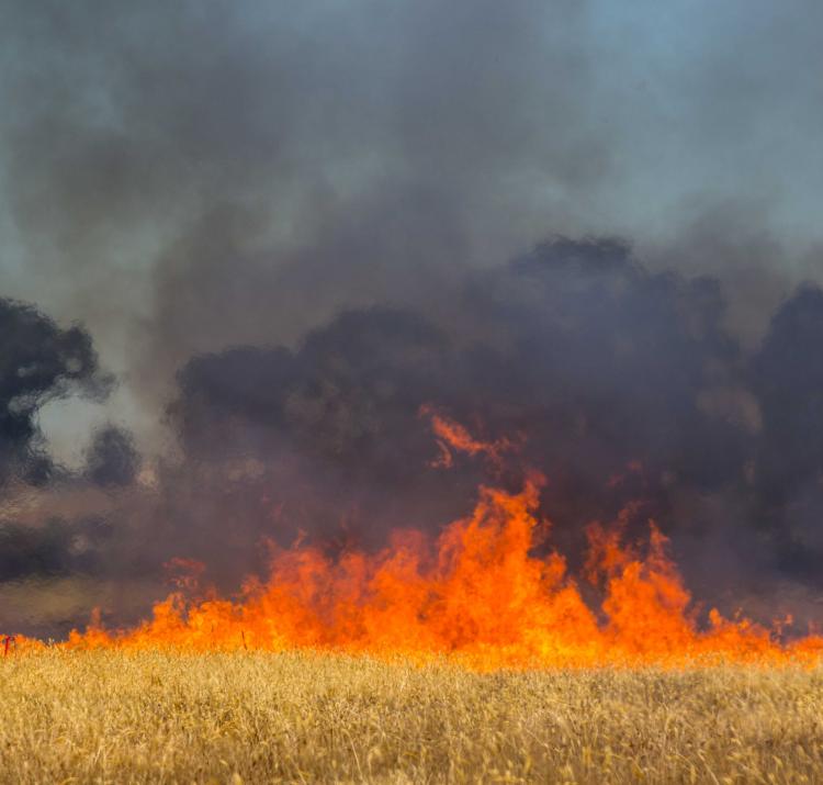 Fire spread. Photo: CFA Communities and Communication