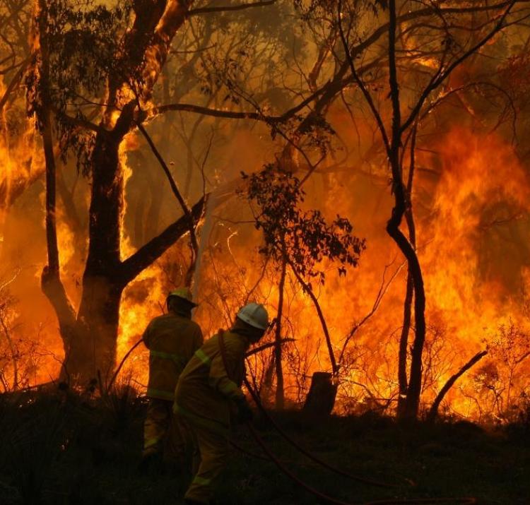 An out-of-control bushfire is one of the scariest situations a firefighter can face. Photo: CFS Promotions Unit. 