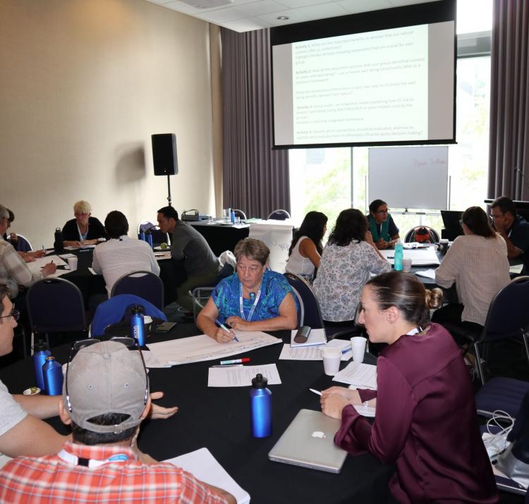 Workshop participants at the OCEANIA Ecosystem Services forum, Brisbane