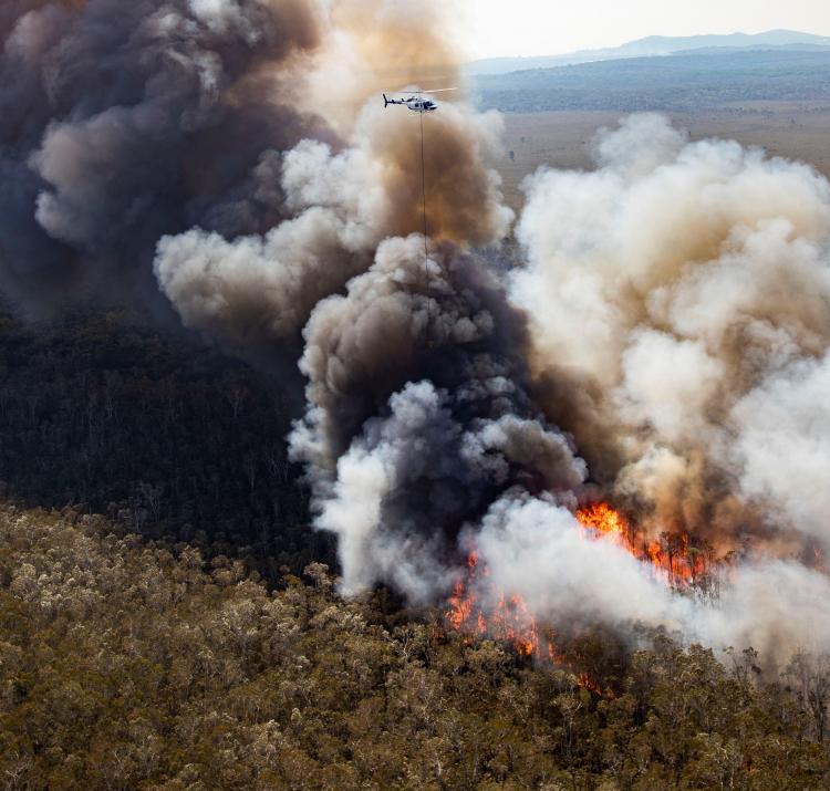 A helicopter drops water on the Peregian Springs fire on Queensland's Sunshine Coast in September 2019.