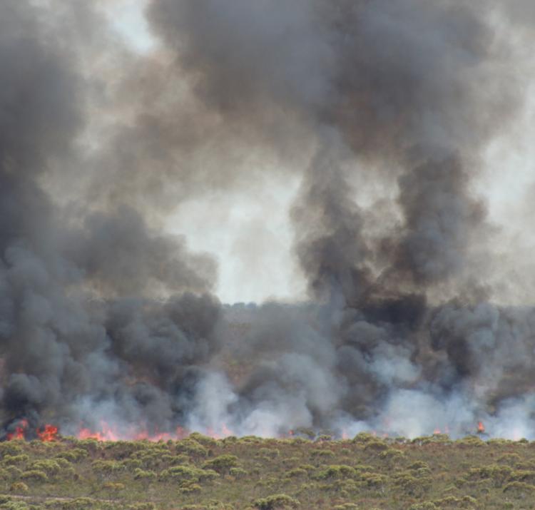 Ngarkat, Sth Australia, fire and smoke
