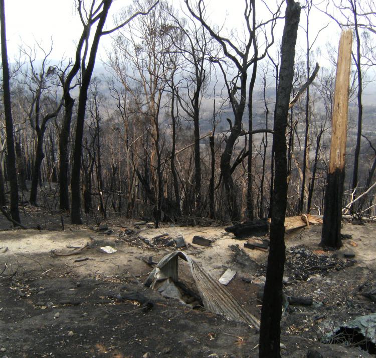 Aftermath of the 2009 Kinglake, Victoria fires. Photo: BNHCRC