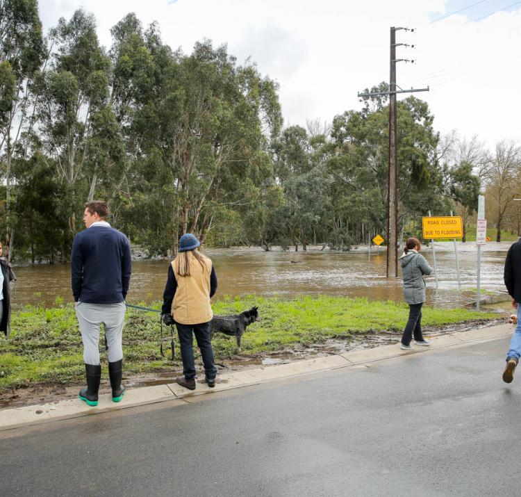 Adelaide floods