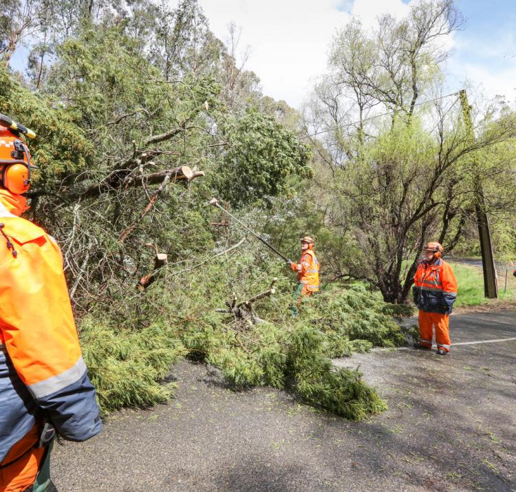 Understanding and enhancing disaster resilience in Australian communities will help to develop the capacities needed for adapting and coping with natural hazards. Photo: South Australia State Emergency Service. 