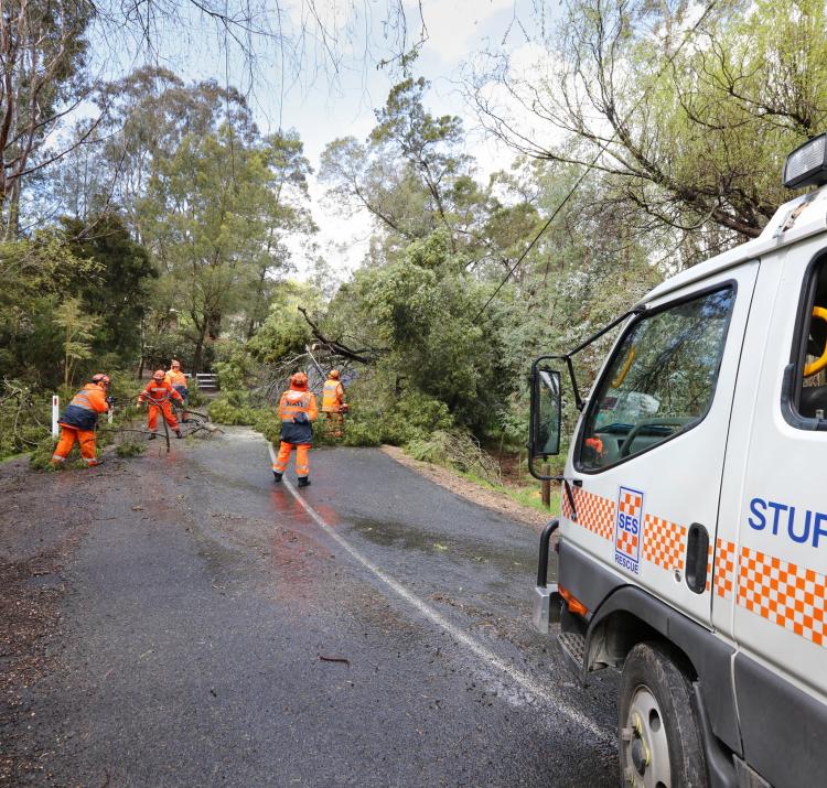 South Australian State Emergency Services crew managing a fallen tree during the September 2016 Adelaide floods. Photo: South Australia SES. 
