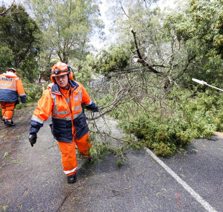 SA SES volunteers clearing up after a storm. Photo SA State Emergency Service