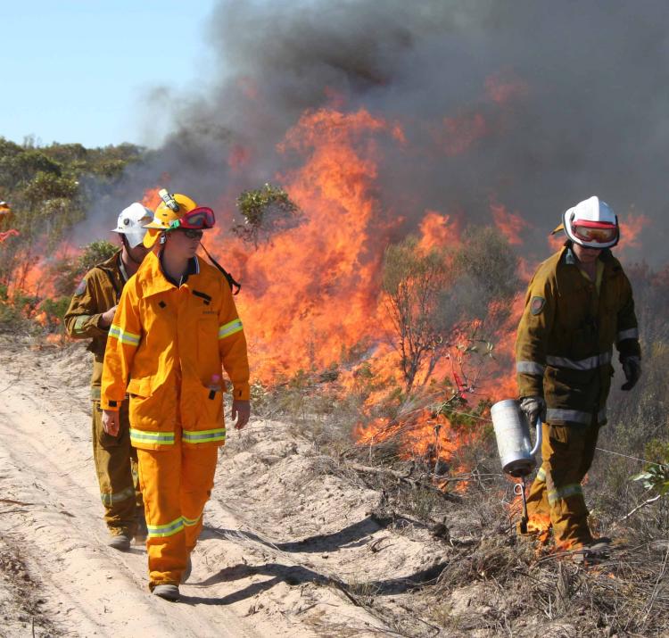 Prescribed burning at Ngarkat Conservation Park, SA.