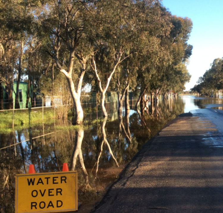 This research investigated the influence of road characteristics on a motorist's decision to enter floodwater, and the effect this has on fatalities. Photo: NSW State Emergency Service.