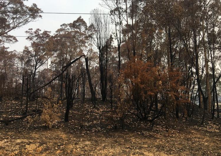 NSW 2019/20 fire damage. Photo: NSW SES