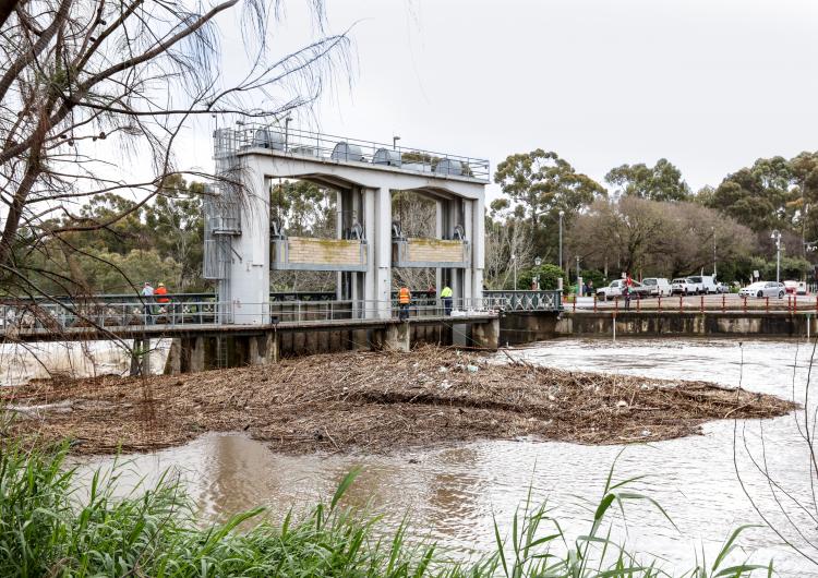 Adelaide floods. Source: SA SES Flickr