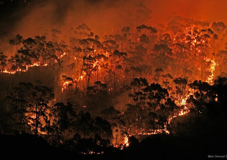 Bushfire near Hobart 2006.