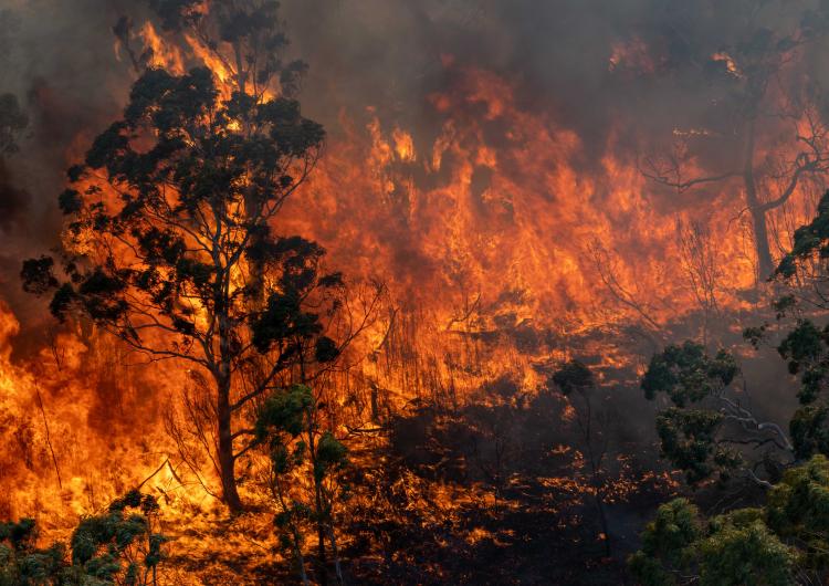 Bushfire raging on the North Black Range, December 2019. Photo: Ned Dawson/NSW Rural Fire Service