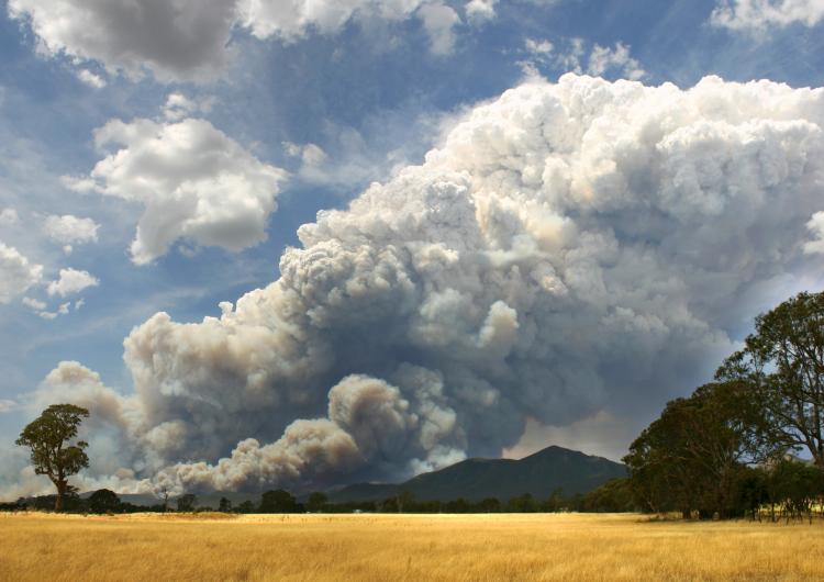 Pyroconvective smoke plume. Photo credit: Country Fire Authority.