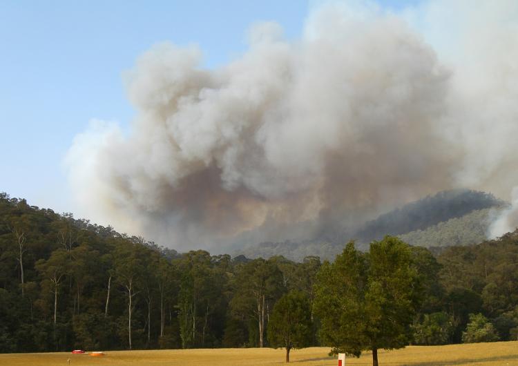 Smoke plume from bushfire. Photo credit: DSE.