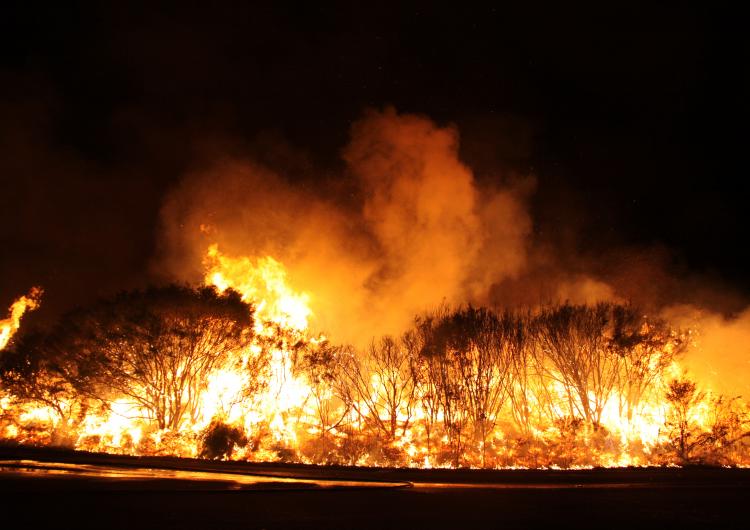 Fire in the Blue Mountains. Photo: Ben Shephard, NSW RFS.