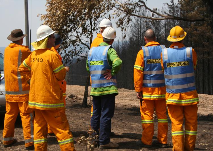 The Victorian Bushfires Research Taskforce at Wandong