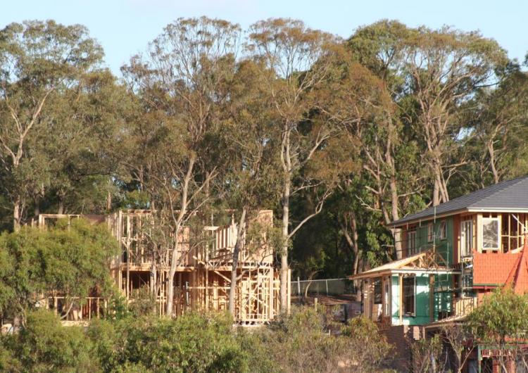 Development in urban fringe areas highlights the vital role urban planning can play in improving the survival of dwellings in bushfire events.