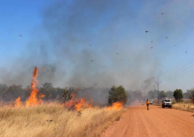 Grasslands fire in Northern Territory. Photo: Tina Holt.