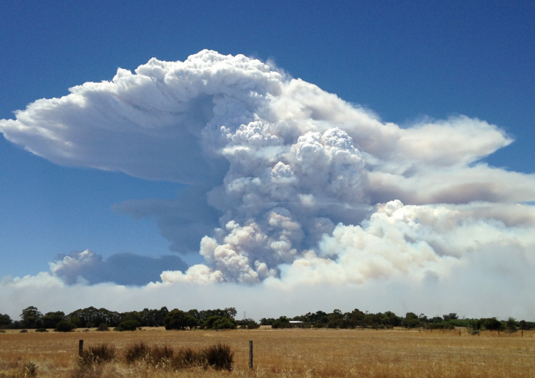 Smoke plume from the Waroona fire. Photo: Neil Bennet.