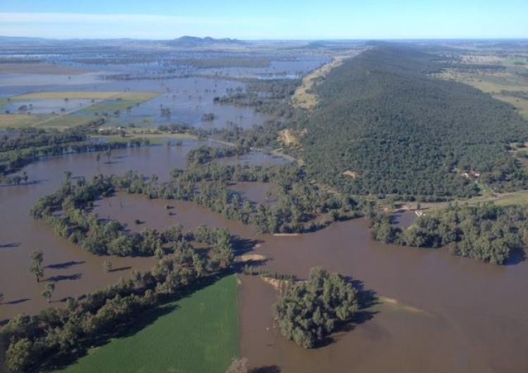 Floodwaters in NSW. Photo credit: Alex Chesser.
