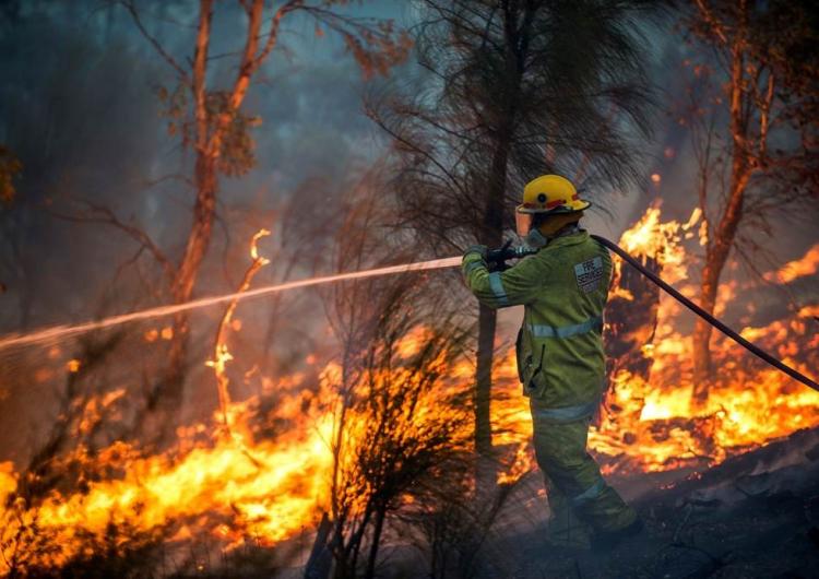 A firefighter battles the Parkerville fire. Photo by DFES