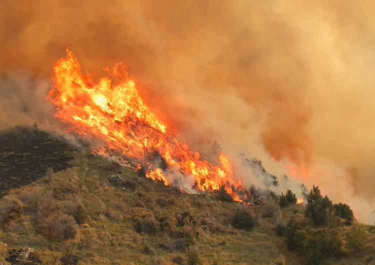 Fire in the landscape. Photo: Fire and Emergency NZ.
