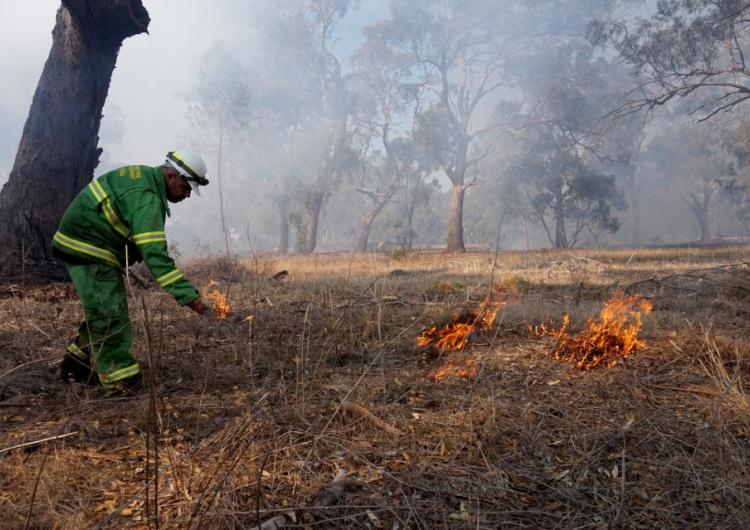 Mick Bourke, a Dja Dja Wurrung man and district planner at Forest Fire Management Victoria, practicing djandak wi (healthy fire). Photo: Timothy Neale.