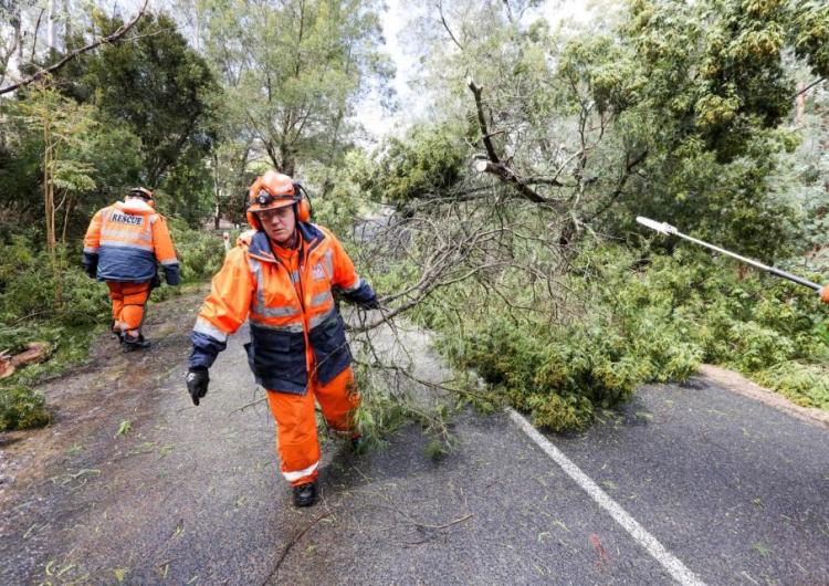 : SA SES volunteers clearing up after a storm. Photo: SA State Emergency Service