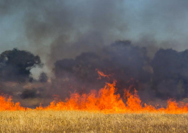 Fire spread. Photo: CFA Communities and Communication