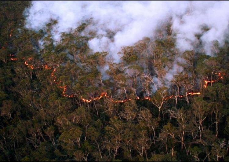 The Bushfire and Natural Hazards CRC and Australian Academy of Science held a three-part webinar series to lay the foundations of a future national approach to hazard reduction burning. Photo: Adam Leavesley/ACT Parks and Conservation Service