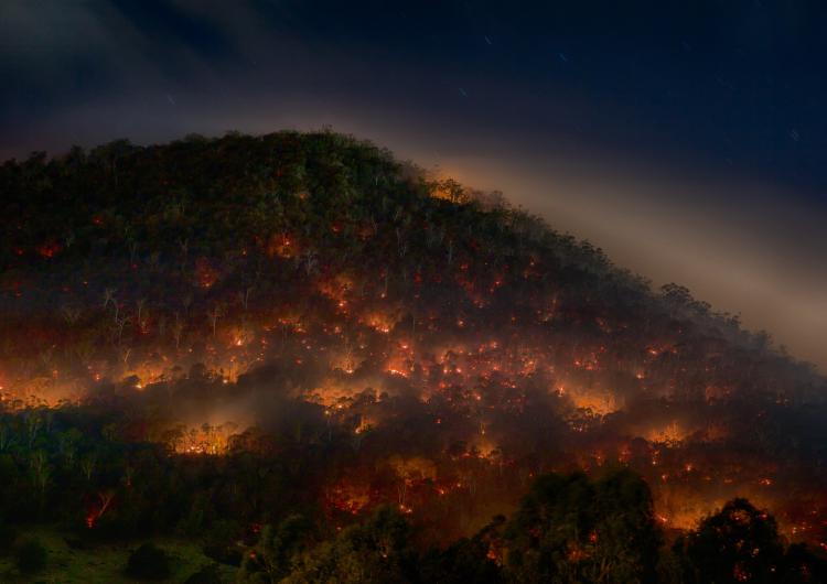 A prescribed burn at night. Photo: Mike Rowe (CC BY-NC 2.0)