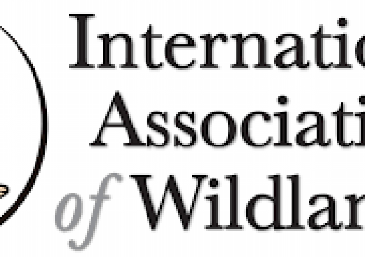 The International Association of Wildland Fire’s (IAWF) 2021 student scholarship program is now accepting applications.