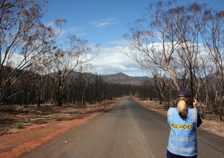 Post-fire research being conducted. Photo: Bushfire and Natural Hazards CRC