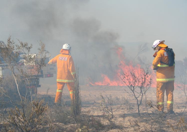 Hazard reduction burn, South Australia
