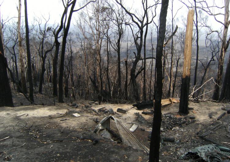 Aftermath of the 2009 Kinglake, Victoria fires. Photo: BNHCRC