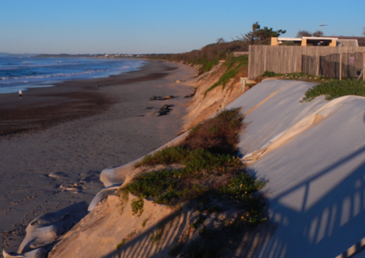 The actively eroding dune face at Old Bar, as seen in June 2015. Photo: Geoscience Australia