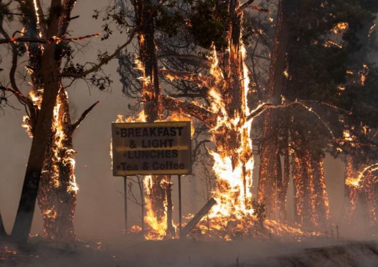 New research has begun that explores important issues arising from Australia’s devastating 2019/20 Black Summer. Photo: NSW Rural Fire Service.