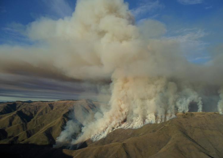 Wind accounts for much variability in fires. Photo: New Zealand Fire Service