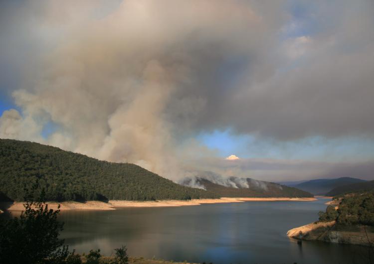 This provide will analyse data to minimise the impacts of bushfires. Photo: Mick Stanic. (CC-BY-NC-2.0)