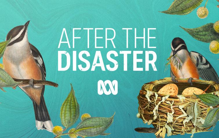 After the Disaster podcast series, produced by the ABC. Illustration: ABC. 