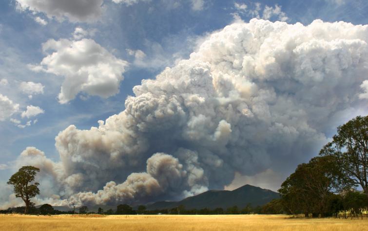 Pyroconvective smoke plume. Photo credit: Country Fire Authority.