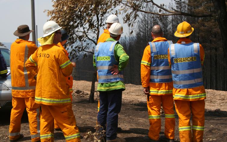 The Victorian Bushfires Research Taskforce at Wandong