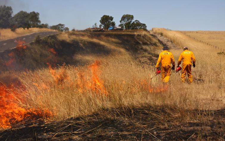 Hazard reduction burn in Victoria by CFA. Photo credit: Sarah Dickson-Hoyle.
