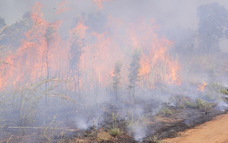 Grassfire in Northern Territory 