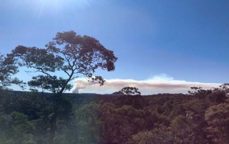 Prescribed burn at Bowen Mountain in July 2019. Photo: Hamish Clarke