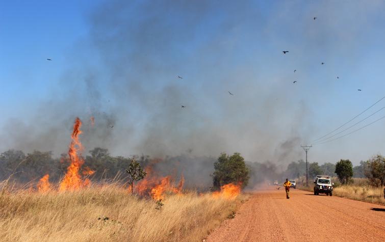 A grassland fire along Kentish Rd in the Northern Territory. Photo: Tina Holt