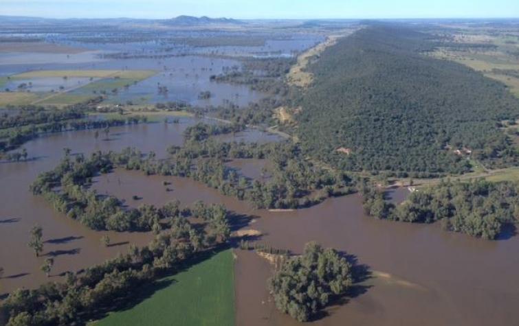 Areial view of flooding in NSW. Photo: Alex Chesser.